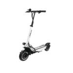 Trottinette électrique Speedway 5 Dual